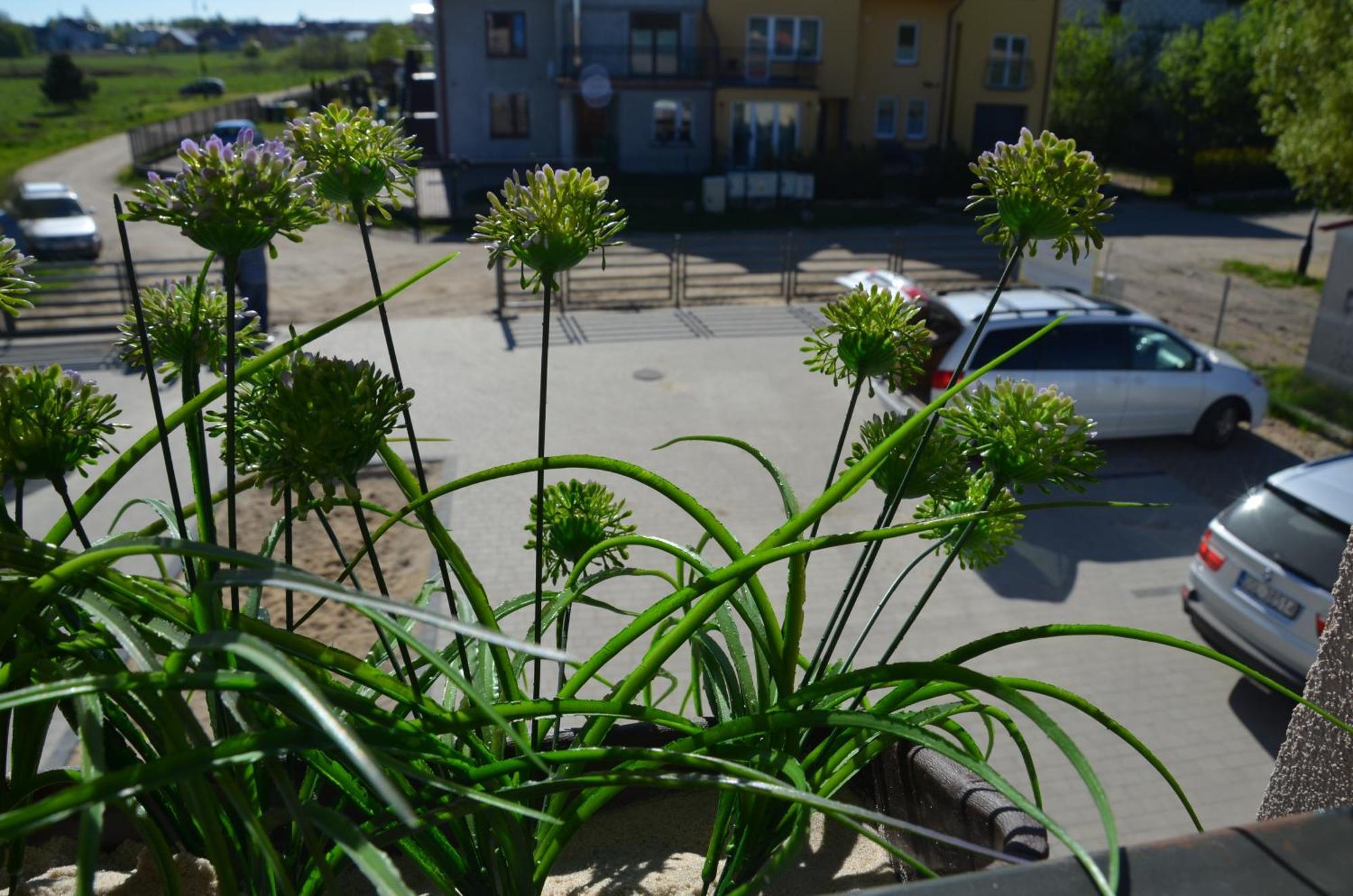 Apartamento Ahoj Łeba Exterior foto